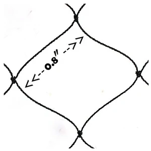شبكة المحاصيل المقاومة للطيور للطيور ، شبكة الدواجن ، مقاومة الطيور ، أداة الحدائق ، النبات ، البرك ، شجرة الفاكهة ، حماية الشبكة أفضل 12 شبكة مبيعات لاصطياد الطيور - رقم 3
