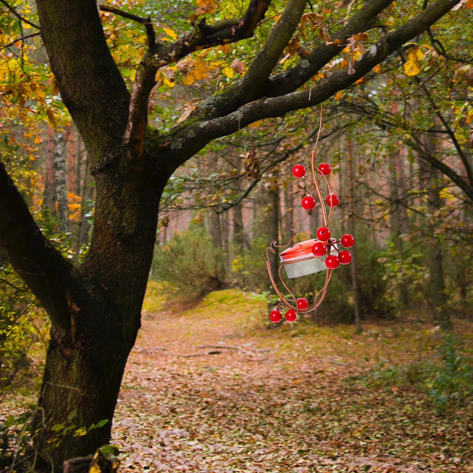 

Feeder Cool Para Red Wear Resistant Hanging Food Dispenser Daily Pet Bird Feeding Easy Install Long Service Life High Class