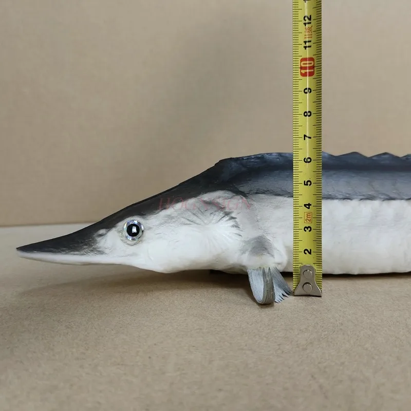 Simulation Pu Fake Sturgeon Seafood Food Fish Model Baby Toys Model Kitchen Decoration Props Teaching Materials Teaching Aids