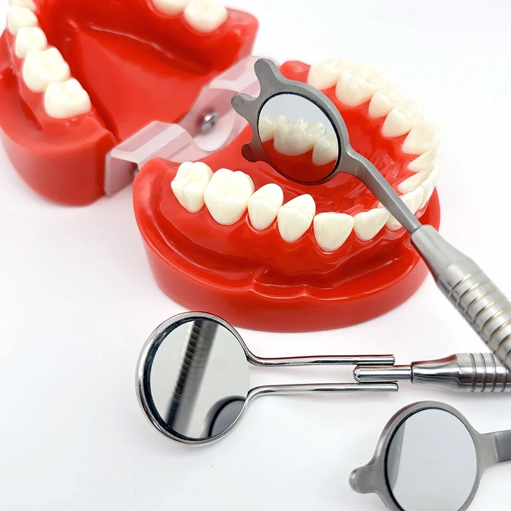 مرآة فم للأسنان مزدوجة الجوانب مضادة للضباب، سطح عاكس من الروديوم قابل لإعادة الاستخدام مع مقبض للامتحان الفم #5