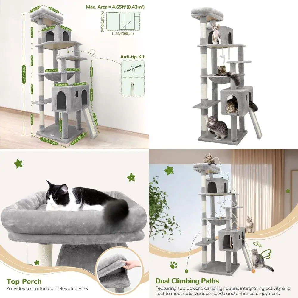 Sturdy 70 Indoor Ca…