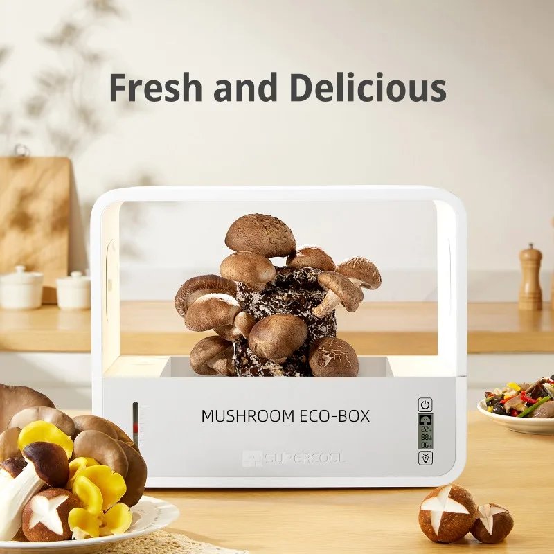 Mushroom Smart Terrarium Mushroom Growing Transparent Plant Vivarium Box Family Desktop Smart Plant Box Cultivation Container