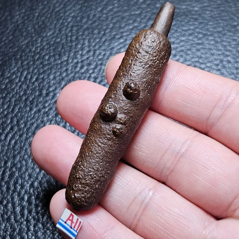 High Natural Egypt Desert Black King Kong Stone Teaching Mineral Specimen For Home Feng Shui Decorati on And Festival Gift