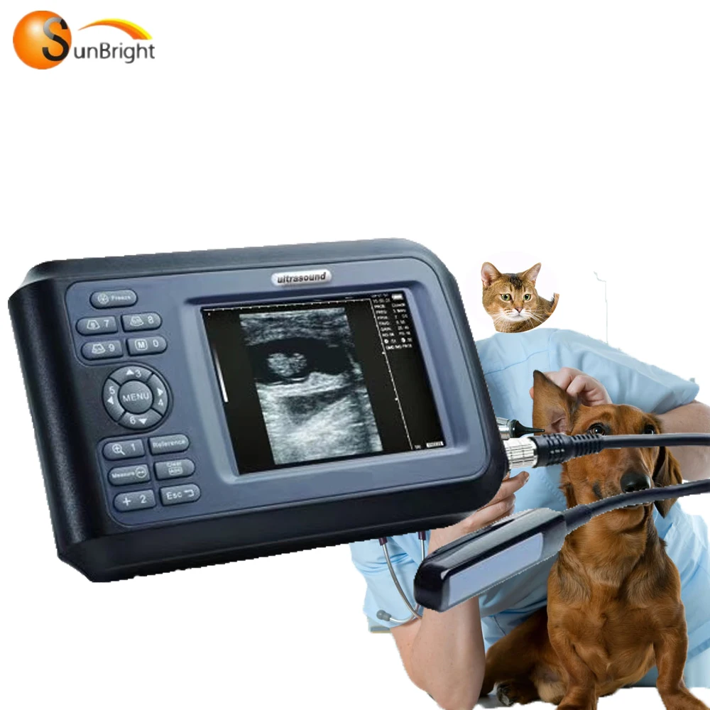 

Veterinary handheld BW ultrasound scanner vet price SUN-808F