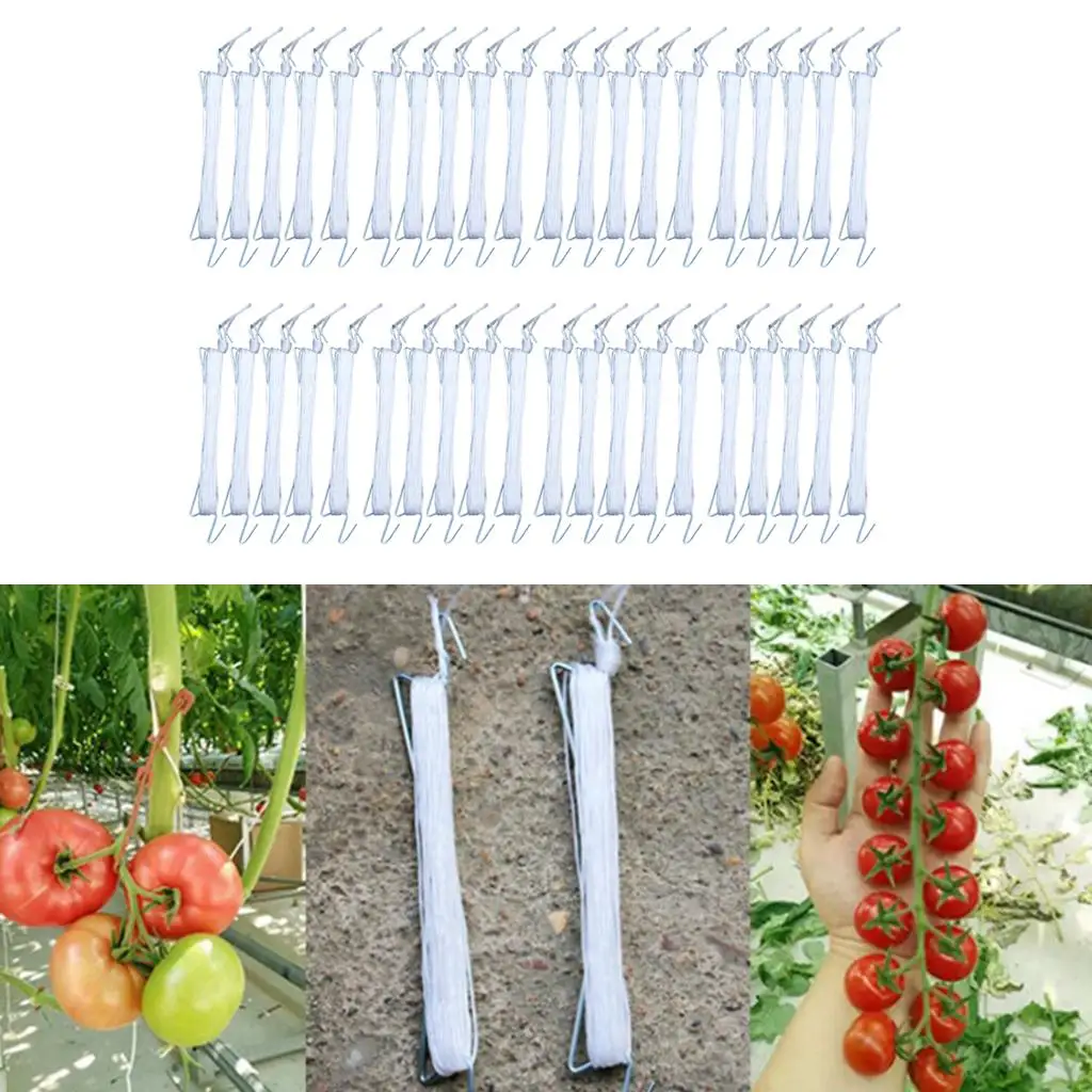 50/40/45pcs Tomato Hooks Support Clamps Planting Vegetable Tomato Potatoes Clips