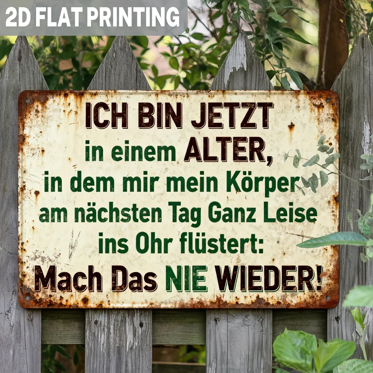 2D Flat Model, 1 Piece of German Vintage Fun Metal Sign, Featuring German Text and English Translation— 