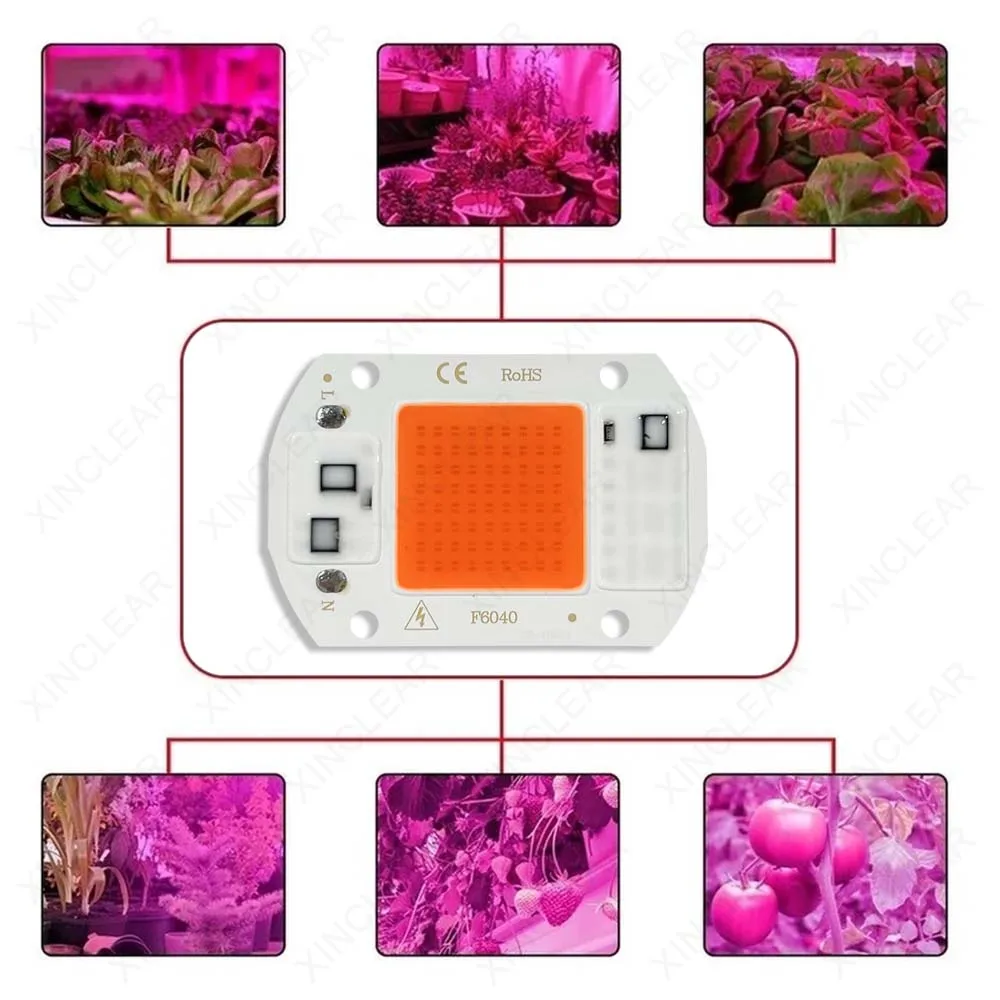 COB LED Lampada Bead Chip AC 220V Smart IC Nessun driver richiesto 20W 30W 50W Modulo DOB ​​per fai da te Coltiva la luce Lampadina di inondazione