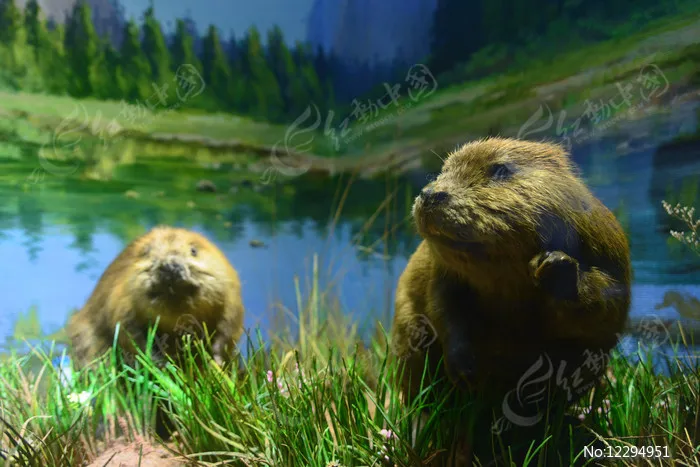 

4pcs 12mm Hex 1/18 RC Car Wheel Tire for ARRMA TYPHON GROM GRANITE GROM Upgrade Parts Accessories