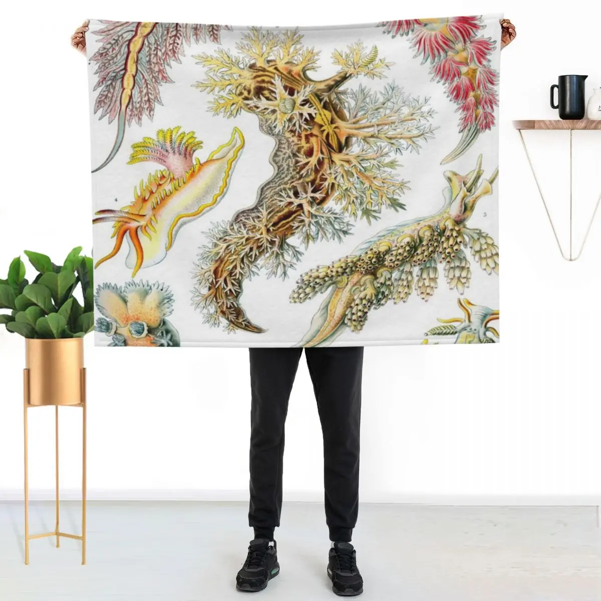 Haeckel Nudibranchia Drawing Throw Blanket Furrys Loose Camping Heavy Weighted Thermals For Travel Blankets