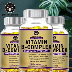 Daily Vitamin B Complex Capsules - Male And Female Vitamin B Supplements - Supports Neurological Health And Cognitive Function