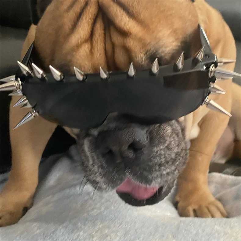 Neue Niet Spike Dekoration Wild Rock Steampunk Sonnenbrille 2022 coole Mode Bühne Bar Party Sonnenbrille Brille Oculos de Sol – Detail 4