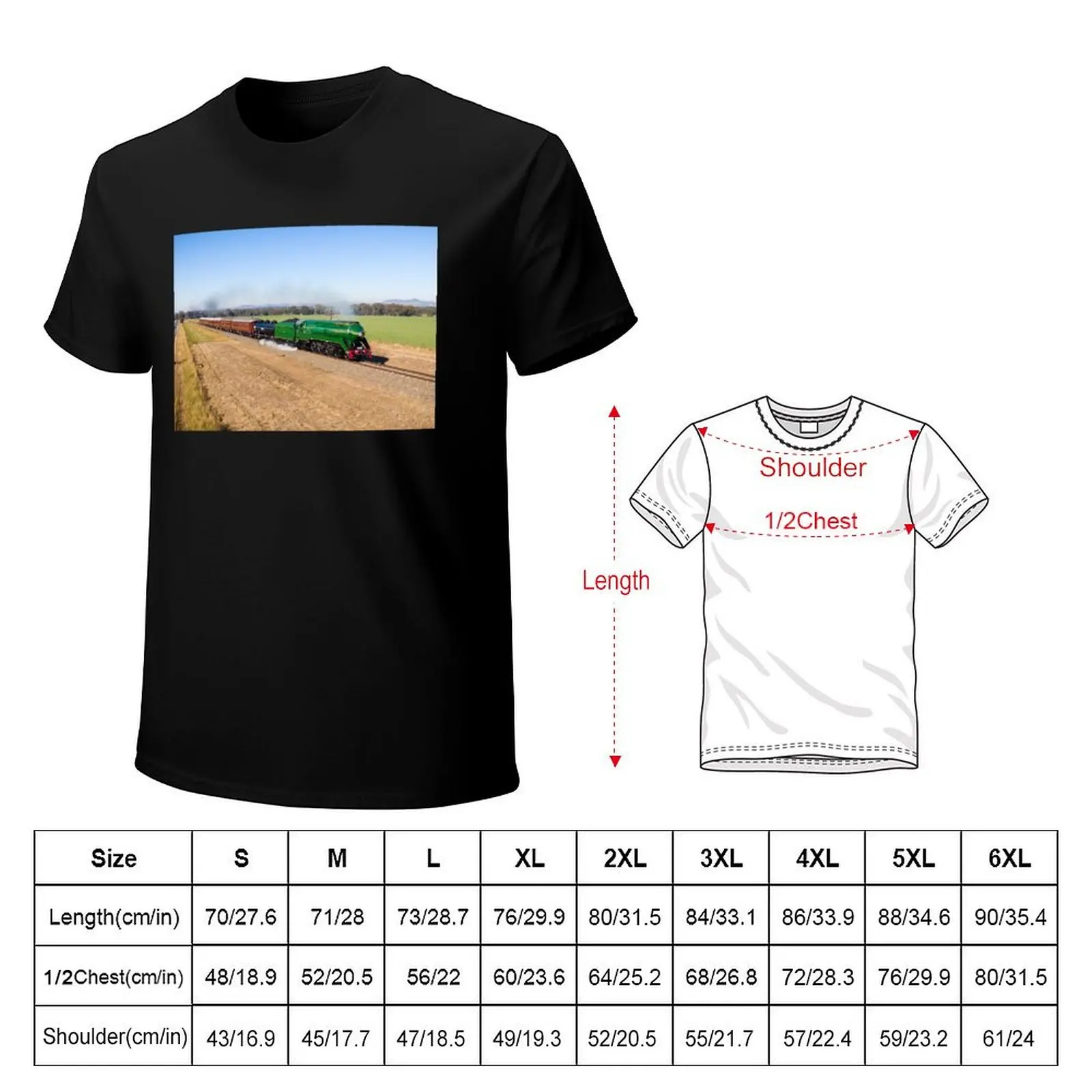 Riverina 3801 - Australian steam locomotive. T-Shirt cheap stuff for a boy boys animal print graphic shirts men