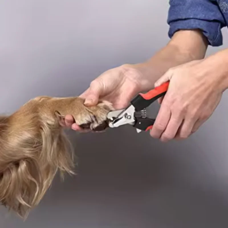 Professional Pet Nail Clippers for Dogs Cats with Safety Guard Stainless Steel Scissors Nail Pliers for Pet Claw Care Grooming - view 4