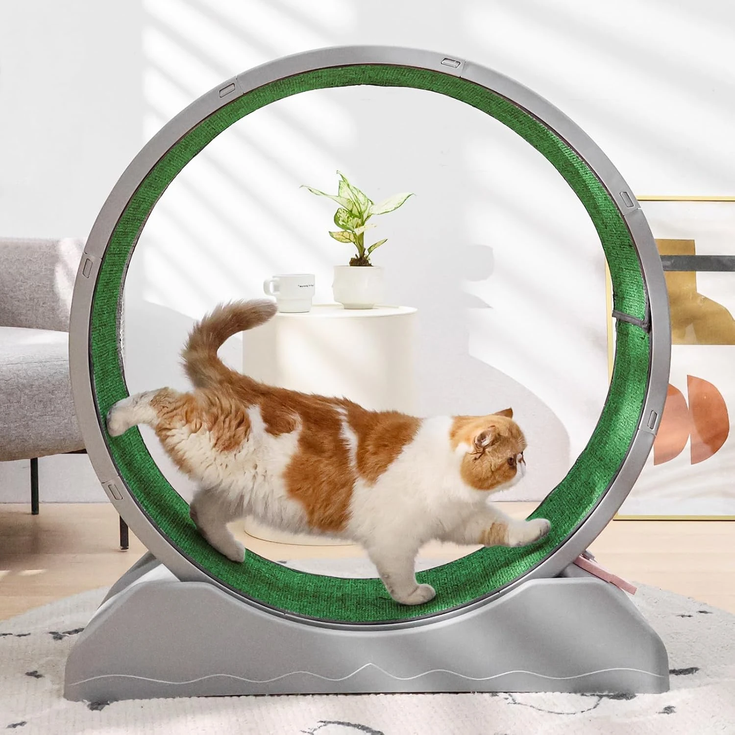 

Cat Exercise Wheel,Cat Treadmill for Indoor Cats, Cat Running Wheel with Carpeted Runway, Easy to Install & Fitness