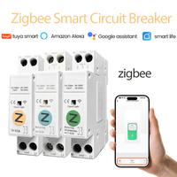 1P+N Tuya Zigbee Smart Circuit Breaker Voltage Current Protection Relay Switch Voice Control Remote Energy Monitoring Smart Life