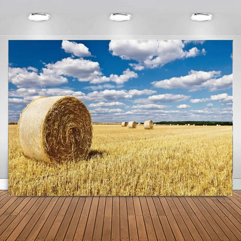 Toile de fond de paysage de boule de foin de jour de Thanksgiving, fond de photographie de champ de rouleau de blé, bannières de décoration de fête de festival de récolte