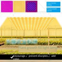 O LED Full Spectrum Grow Light Quantum Board Plant UV Lamp Indoor Flower Seedling Hydroponic Greenhouse Vegetable Cultivation