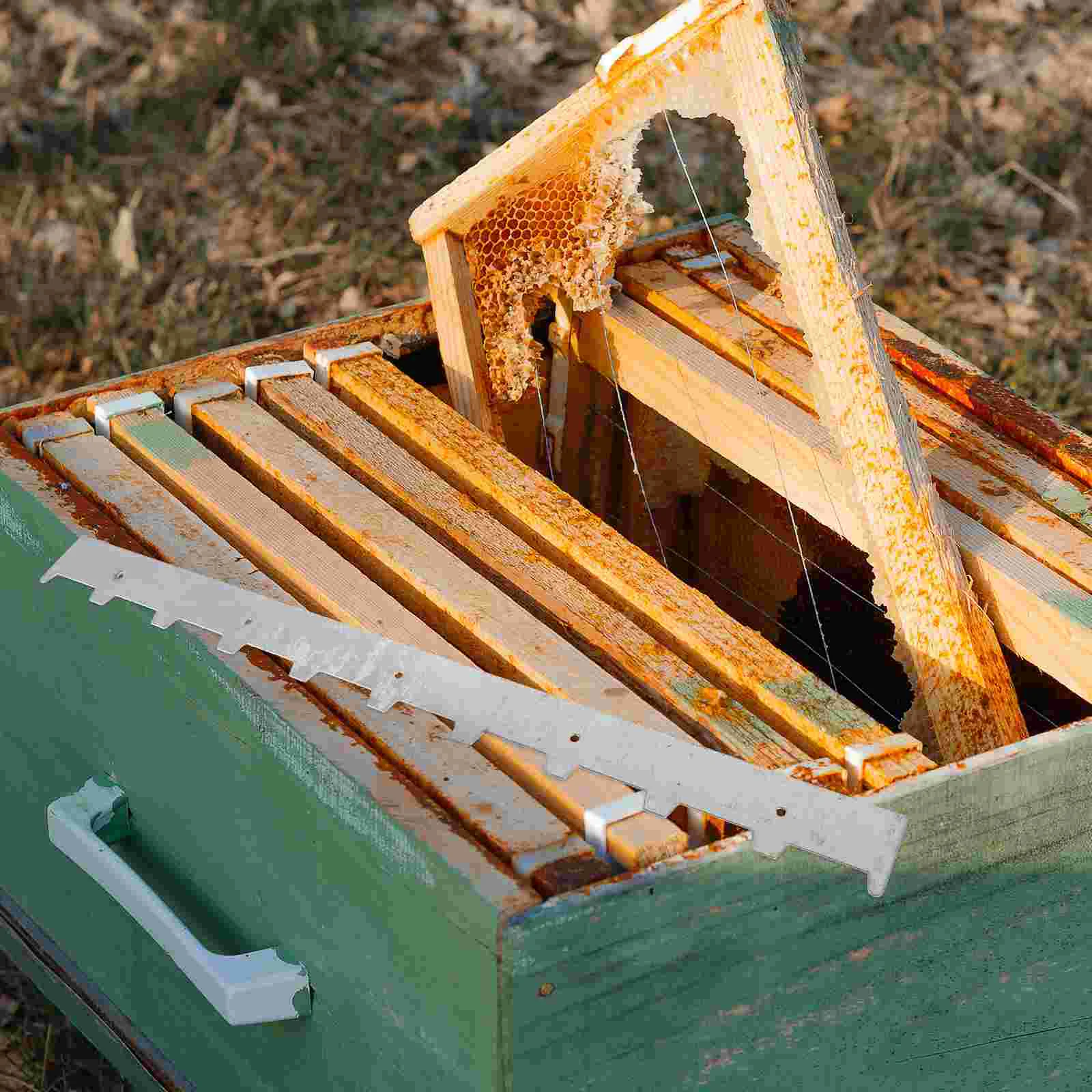 Honey Bottling Tank Nest Frame Card Strip Beekeeping Equipment Major Hive Spacing Honeycomb