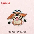 PE16638CT