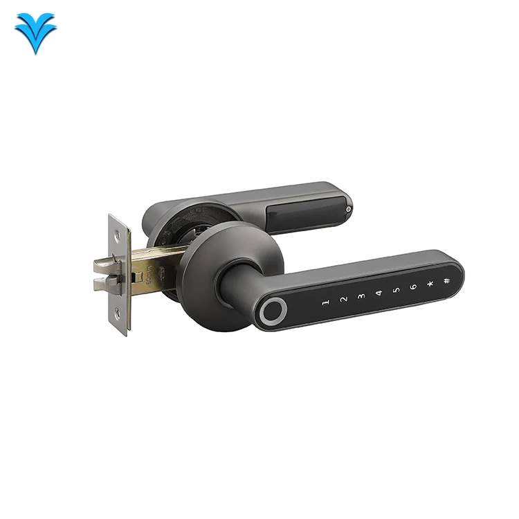 

Fingerprint Electric Handle Lock IELOCK Smart Home Door Lock Biometric Fingerprint Lock for Wooden Door