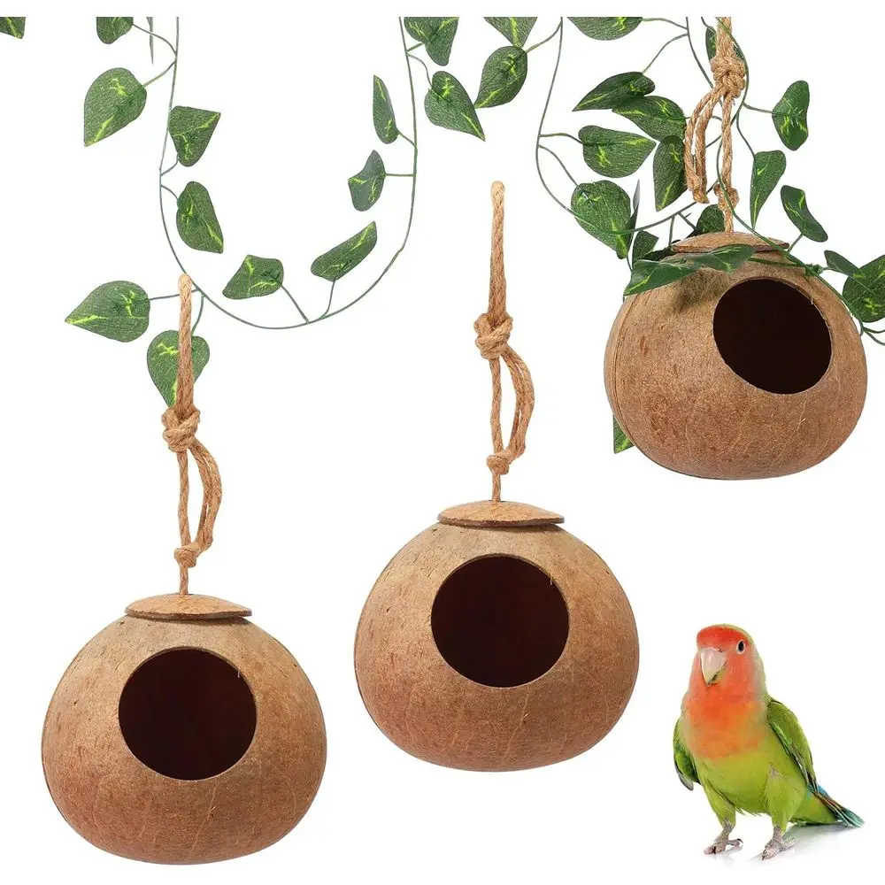 3 Pcs Coconut Bird … - image