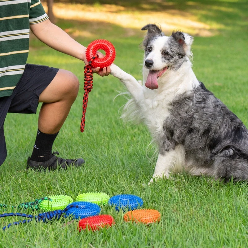 Vocal-Spielzeug für Hunde, interaktives, langlebiges Knotenspielzeug, Zähneknirschen, Reinigen der Zähne, Hundespielzeug, mittelgroßes, großes Hundetraining, Heimtierbedarf