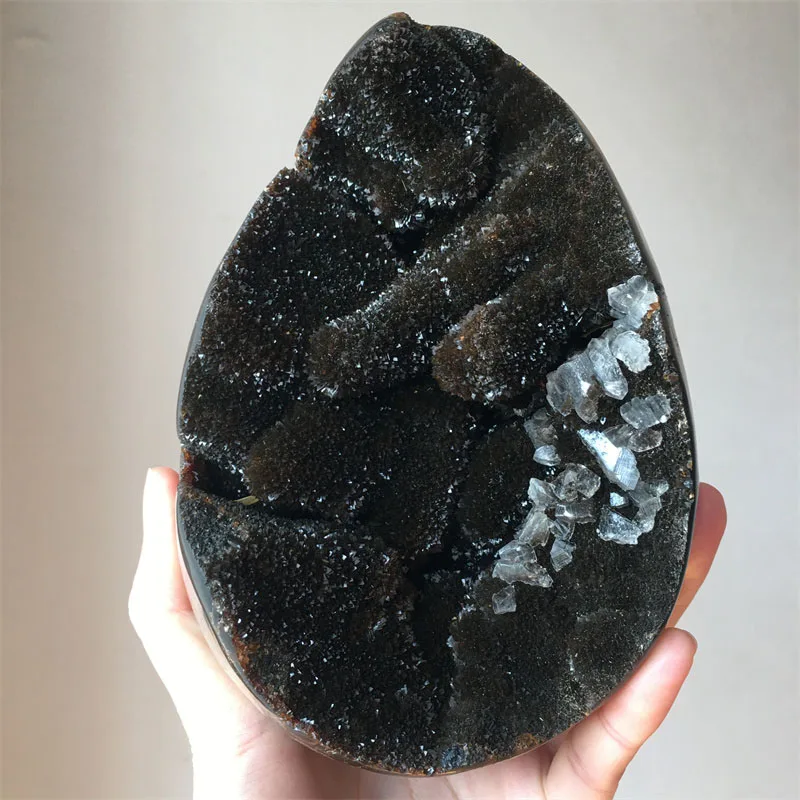 Natural Septarium Druzy Cluster Egg Shape Specimen Dragon Septarian Mineral Stones Home Office Hallway Decoration Healing Gift