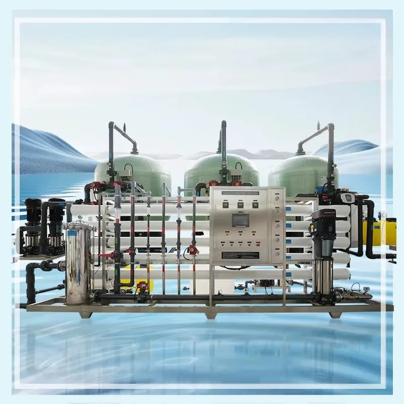 Customized Large Industrial Double-Stage RO Reverse Osmosis Water Treatment System Commercial Water Purification Plant