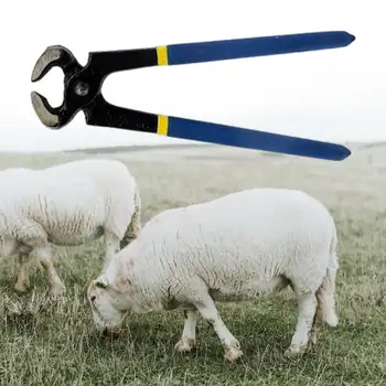 Tagliaunghie professionale per zoccoli di cavallo, strumenti per la riparazione degli zoccoli, durevoli e facili da usare. 12 best sales strumenti per la rifinitura degli zoccoli - №10