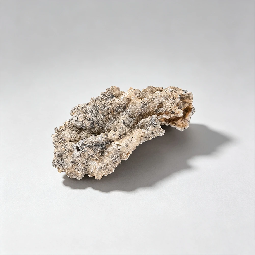 Natural Rough Rock Mineral Specimen with Clear Display Box Raw Stone Sample for Geology Education Collection Home Ornament Gift