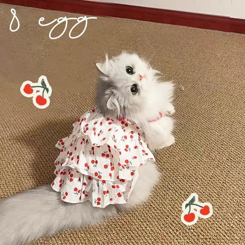 Thumbnail 3 - #41 Best Cat Apparel to Buy In 2026