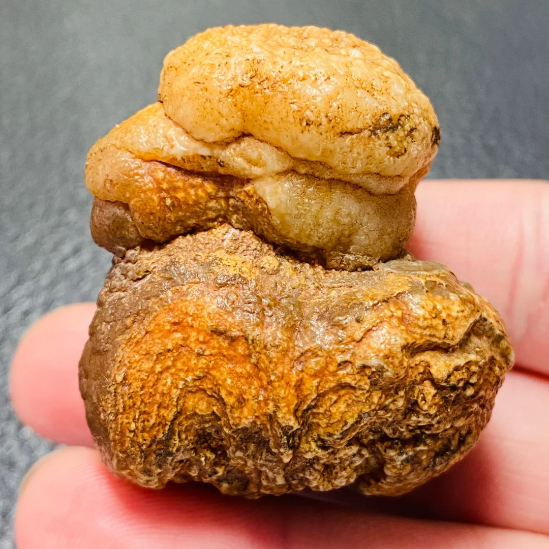 

Natural Alxa stone mineral specimens, banded agate animal odd stones home decoration