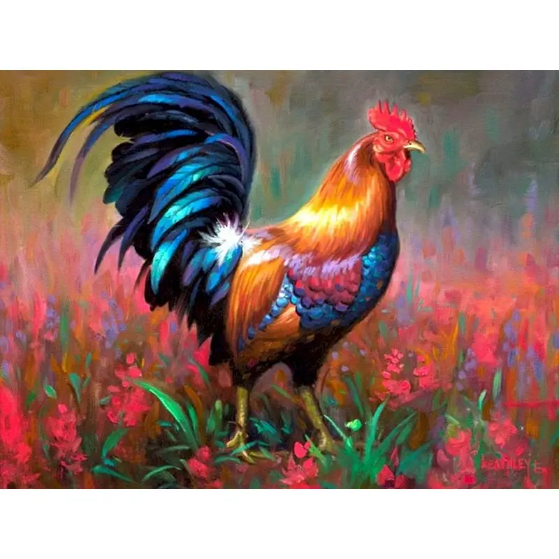 

GATYZTORY Rooster pictures by numbers 60x75cm DIY Painting By Numbers Frameless For Home Decor Digital Painting On Canvas