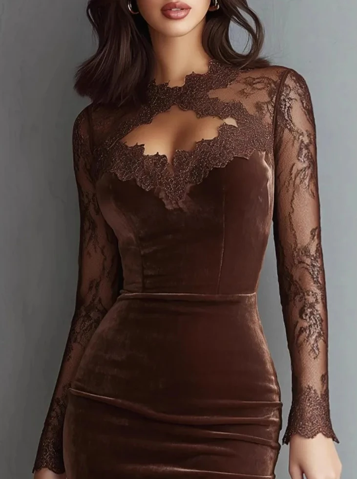

Women's Clothing Sexy Lace See-through Tight-fitting Hip Dress Retro Dark Brown Lace Splicing Long-sleeved Slim Dress Hot Style