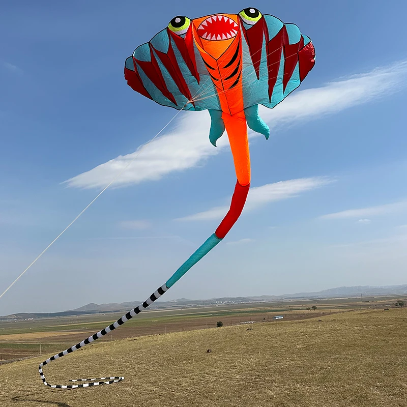 3d 12,5 m 2-Farben-Ray Soft Kite Outdoor Strand profession elle Drachen Regenschirm Stoff wasserdicht und reißfest aufblasbaren Drachen