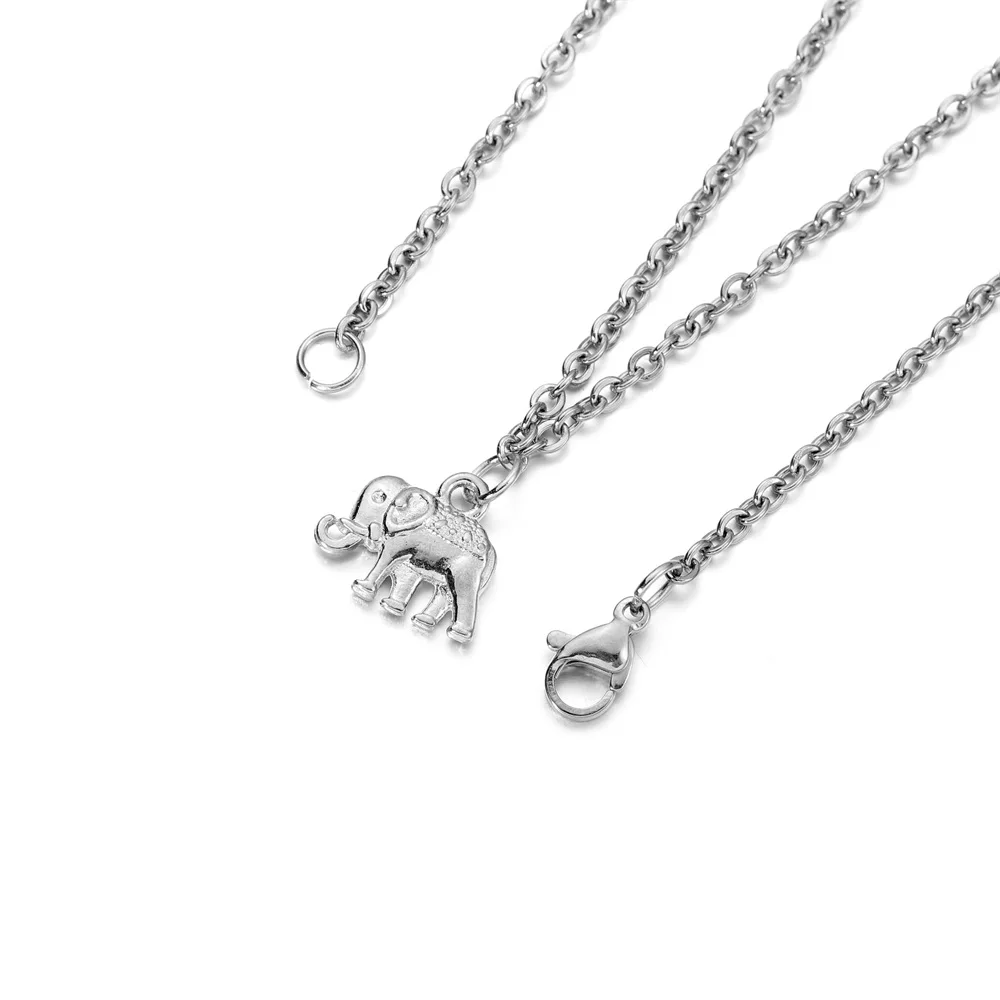 Stainless Steel Lobster Claw Clasps Jump Rings Set 5