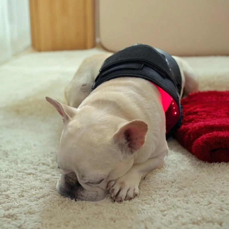 

Специальная подушка для лампы для выпечки шейного отдела позвоночника для кошек и собак