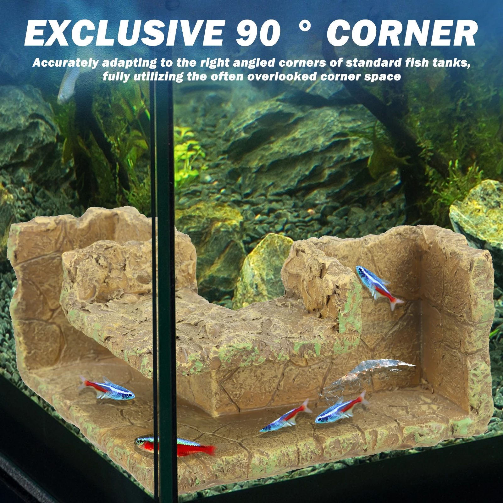 Thumbnail 3 - #37 Compare Aquarium Decor Before You Buy