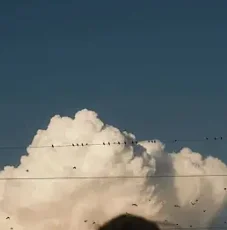 7 "شاشة أندرويد سيارة الوسائط المتعددة 2Din راديو لتويوتا كالدينا 2002-2007 اللاسلكية Carplay أندرويد السيارات رئيس وحدة ستيريو لتحديد المواقع واي فاي