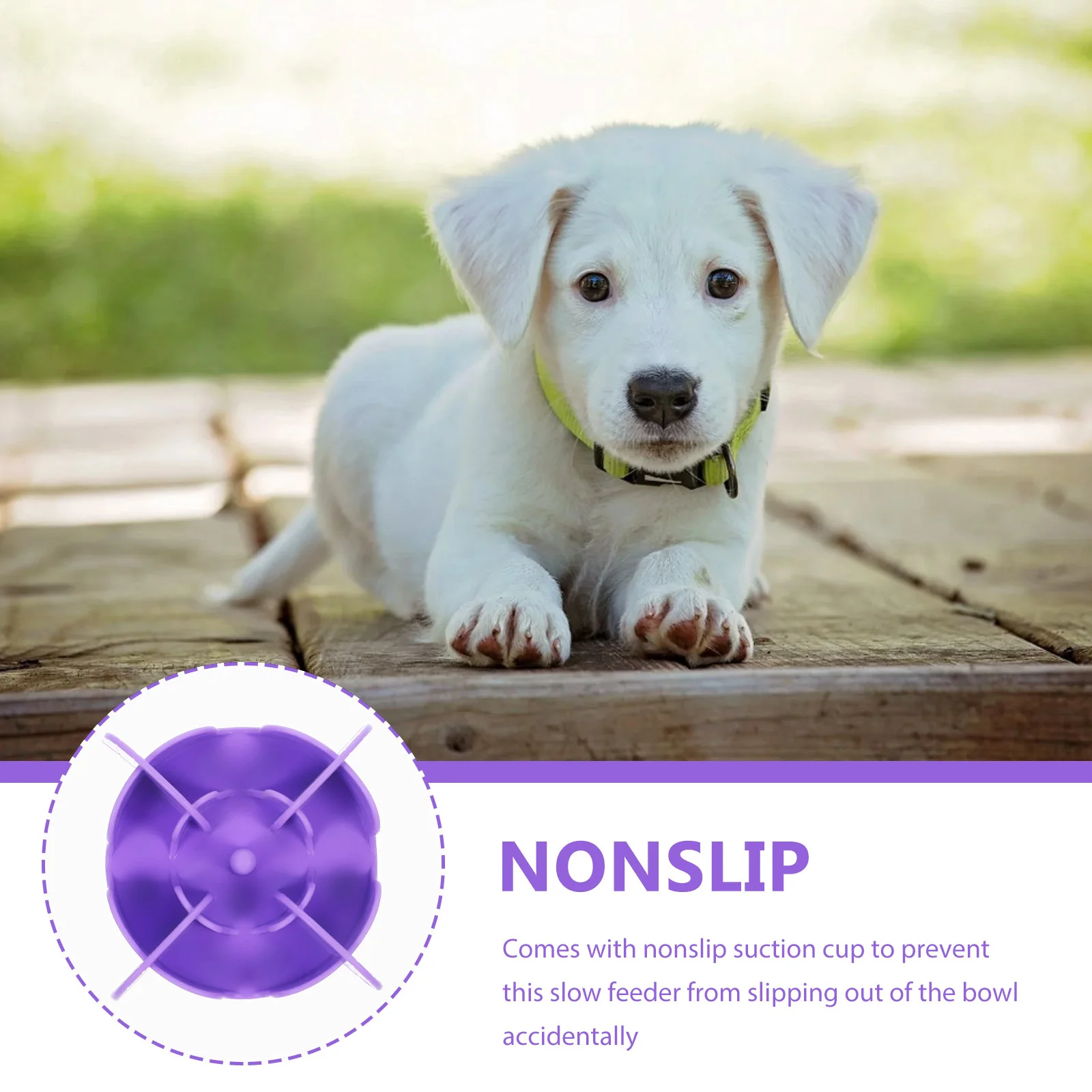 

Silicone Slow Feeder Dog Bowls Insert for Pets - Anti-Choking Digestion Care Non-Slip Suction Base Compatible with Ceramic Glass