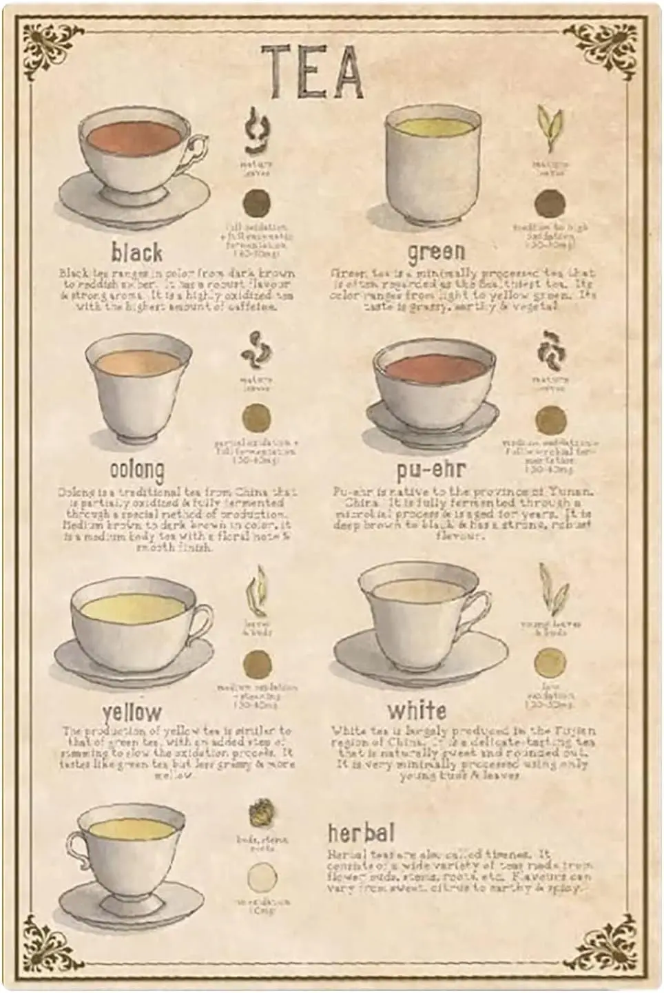 XianJinDu Tea Types Metal Signs Tea Knowledge Posters Tea Infographics Tin Signs Tea Room Plaque Decoration Home Room Club  sign
