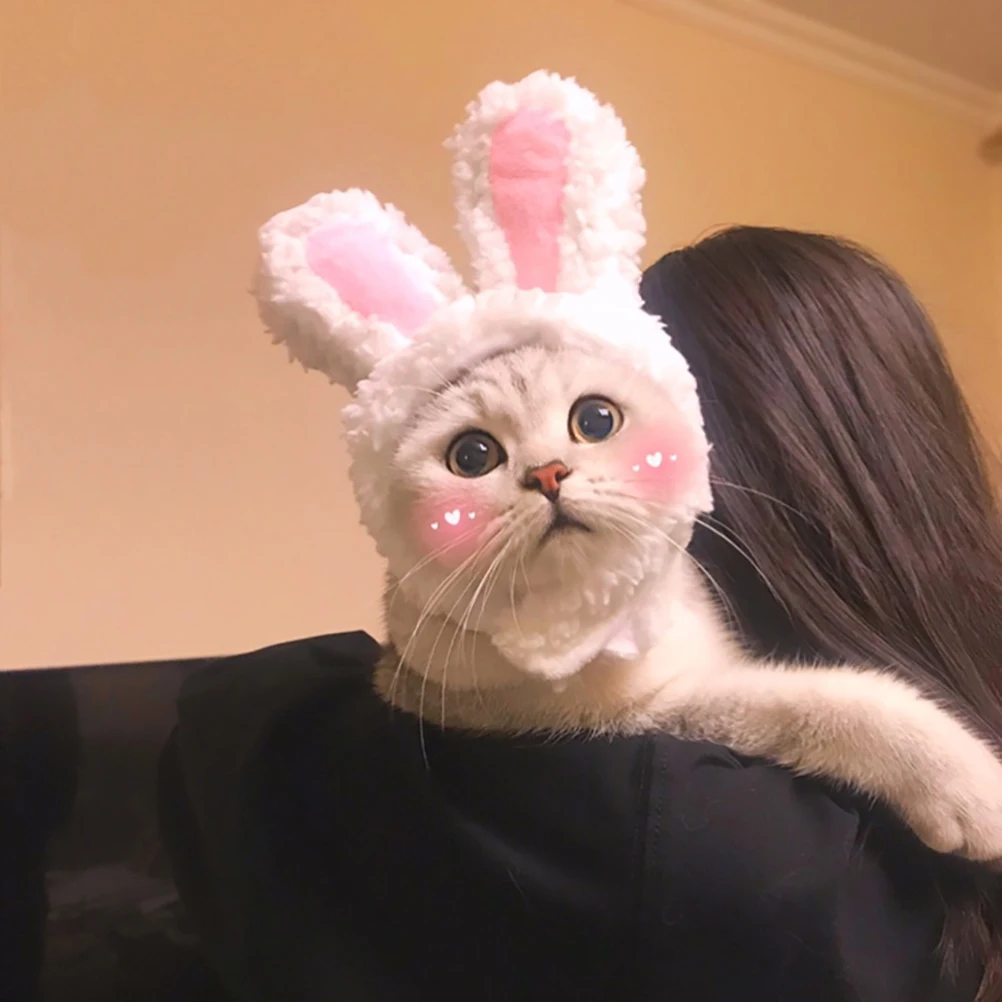 

Bunny Ears Hat Cat Animal Tail Cosplay Costume Hats for Cats Outfit Pet
