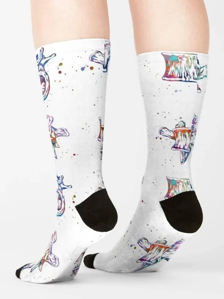 Chaussettes en coton de haute qualité pour hommes et femmes, chaussettes de vertèbres de la colonne vertébrale, cadeau d'épinette