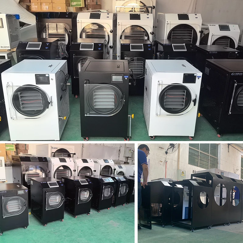 เครื่องอบแห้งแบบแช่แข็งระบบสุญญากาศสำหรับผลไม้ ผัก และอาหาร ความจุถาดขนาดใหญ่