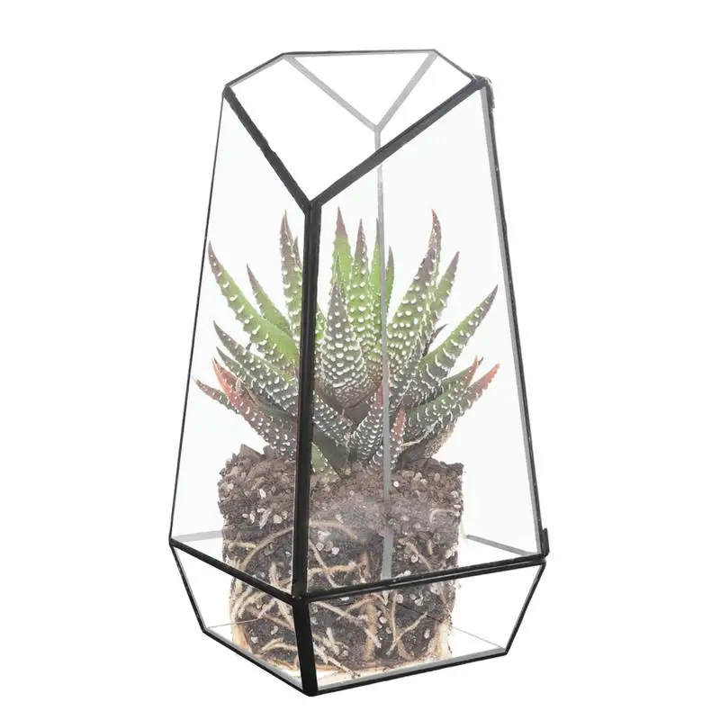 

Geometric Terrarium Geometric Plant Terrarium With Door 25cm Handmade Glass Planter Pot Small Geometric Terrarium Container For