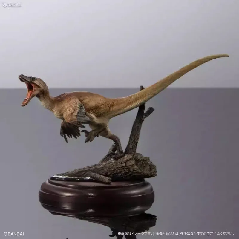 Dinosauro giocattoli biologici Velociraptor Tyrannosaurus Rex Triceratops simulazione Action Figure Model Toys ornatstwisted Eggs