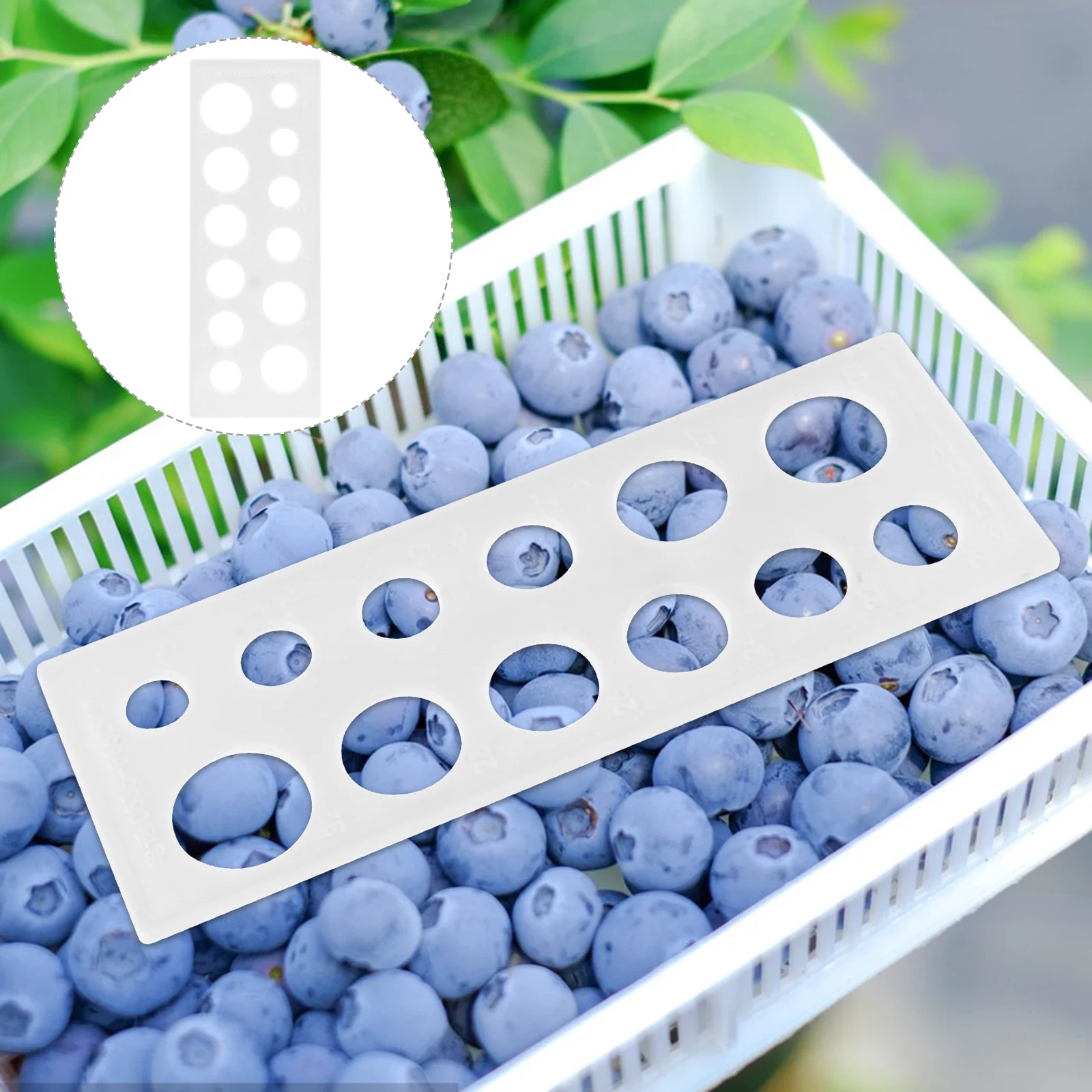 

Diameter Measuring Tool for Fruits Plastic Ruler to Classify Oranges Citrus Melons by Size Convenient Portable