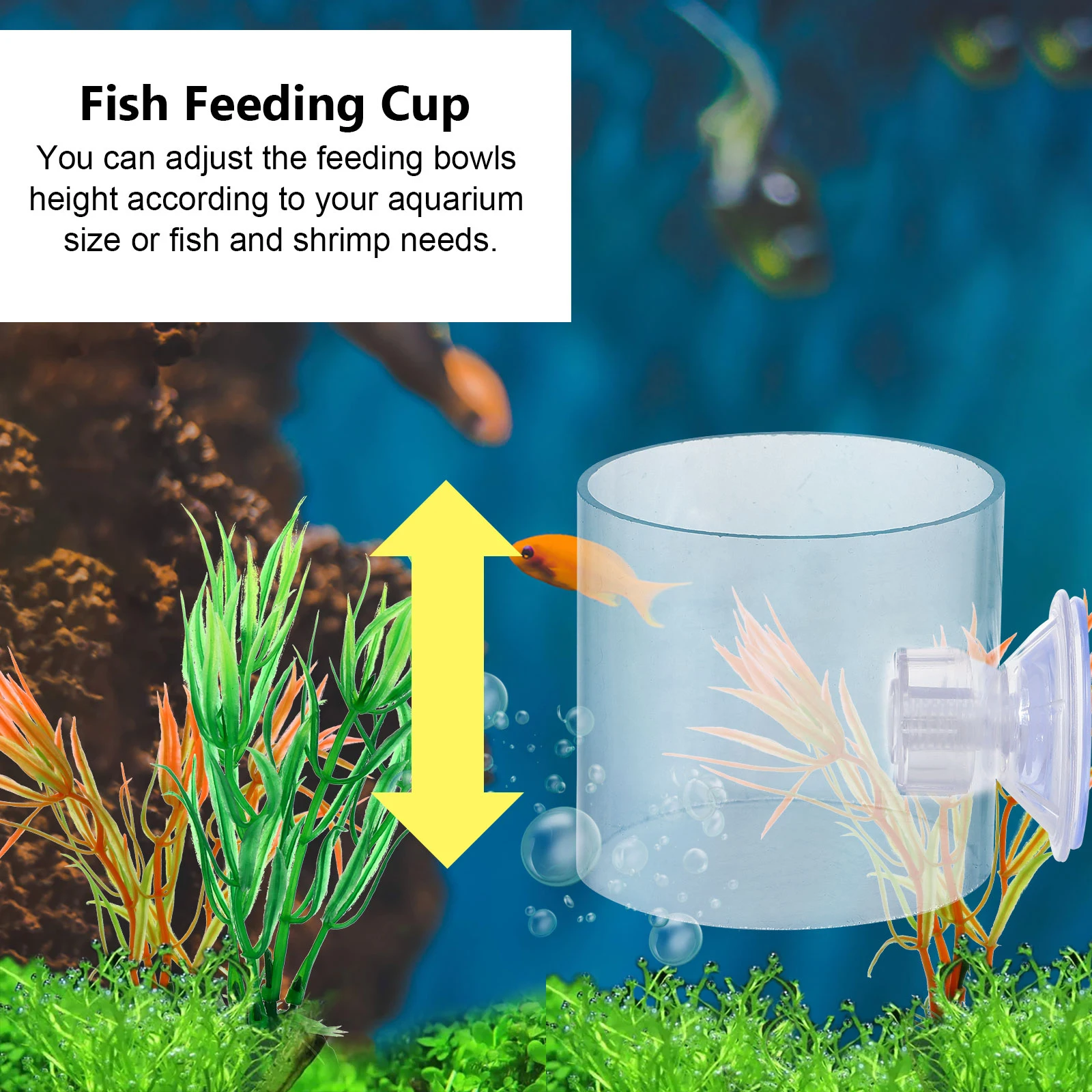 

3Pcs Suction Cup Feeding Ring Unique Connecting Rod Design Prevents Feed Waste Fish Tank Supplies Fish Feeder Feeder Circle