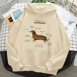 Sosis köpek Dachshund hoodies kadınlar vintage harajuku komik Hood kadınlar gotik kapşonlu gömlek