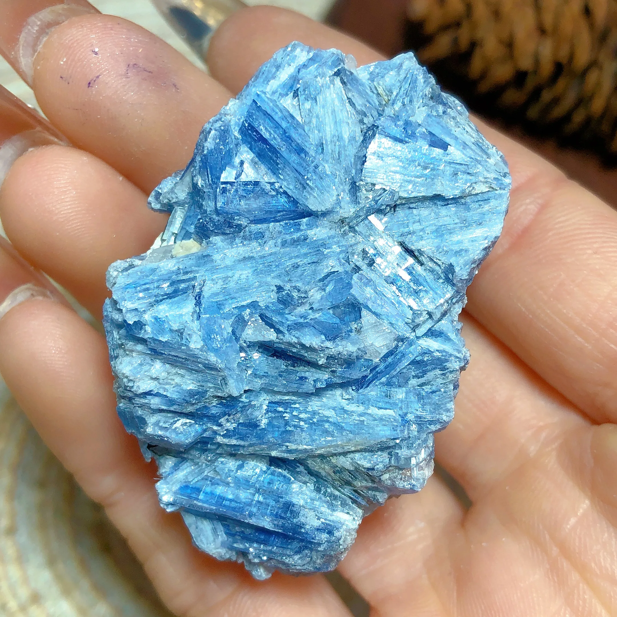 Natural Crystal Blue Kyanite Raw Stone Specimen High Quality Healing Home Decorations Energy Mineral Ore Gift